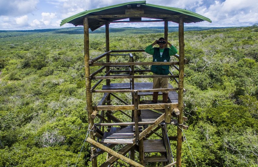 Man met verrekijker in uitkijktoren in het oerwoud
