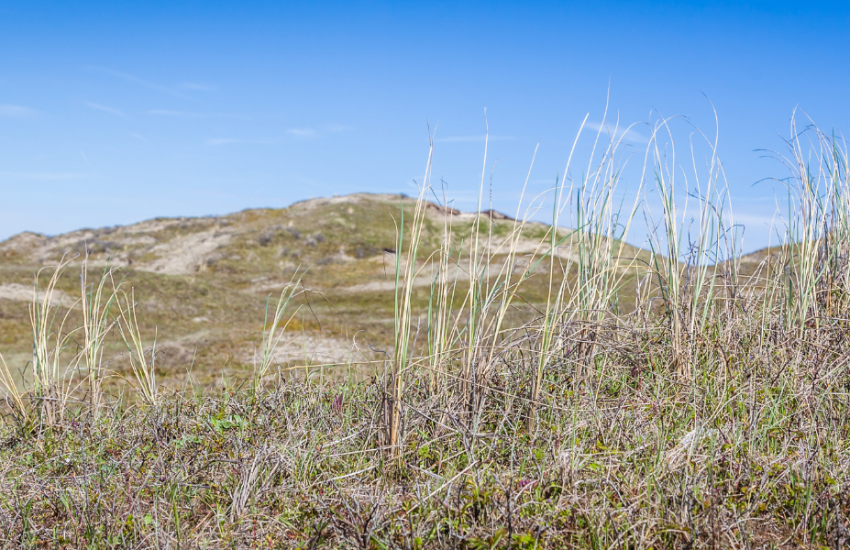 Duinlandschap Nederland