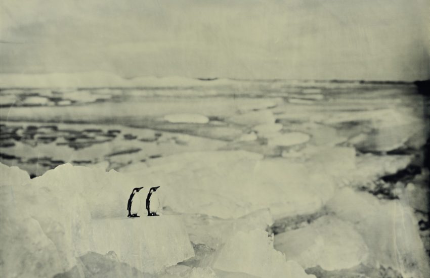 Twee pinguins op een ijsblok