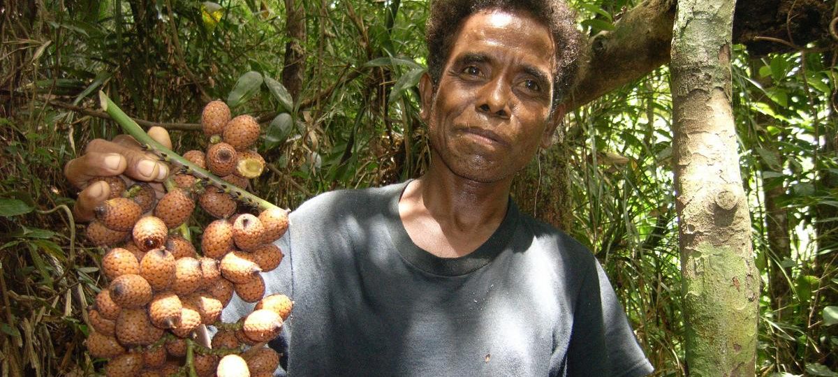 Estaniel wih rattan fruit
