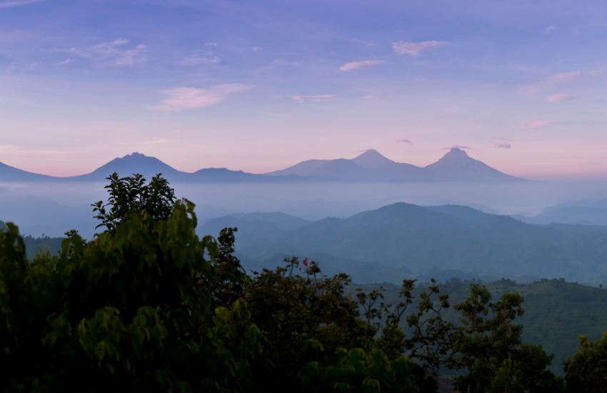 Virunga national park